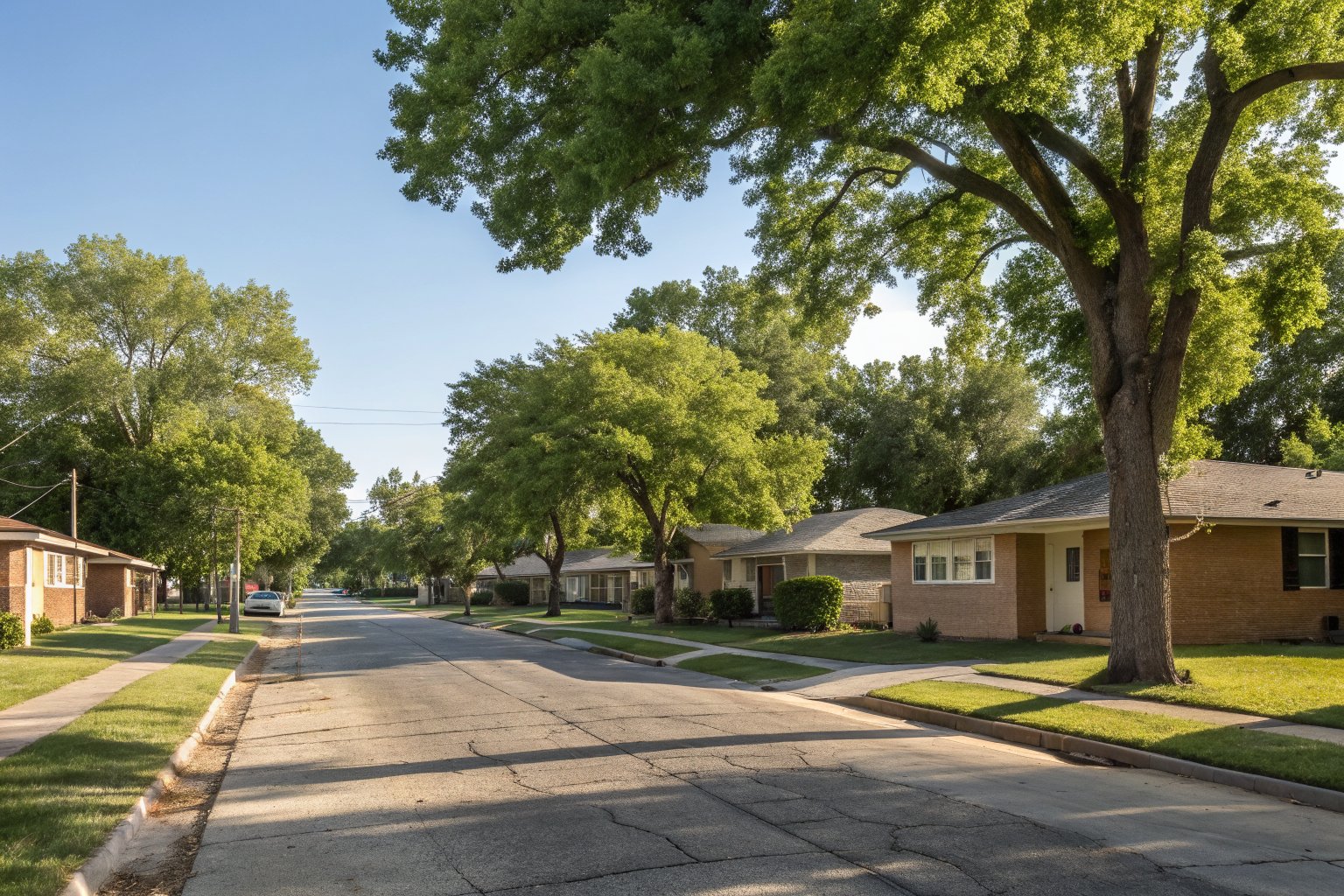 Quiet street of small one-story brick ranch houses shaded by large mature elm trees